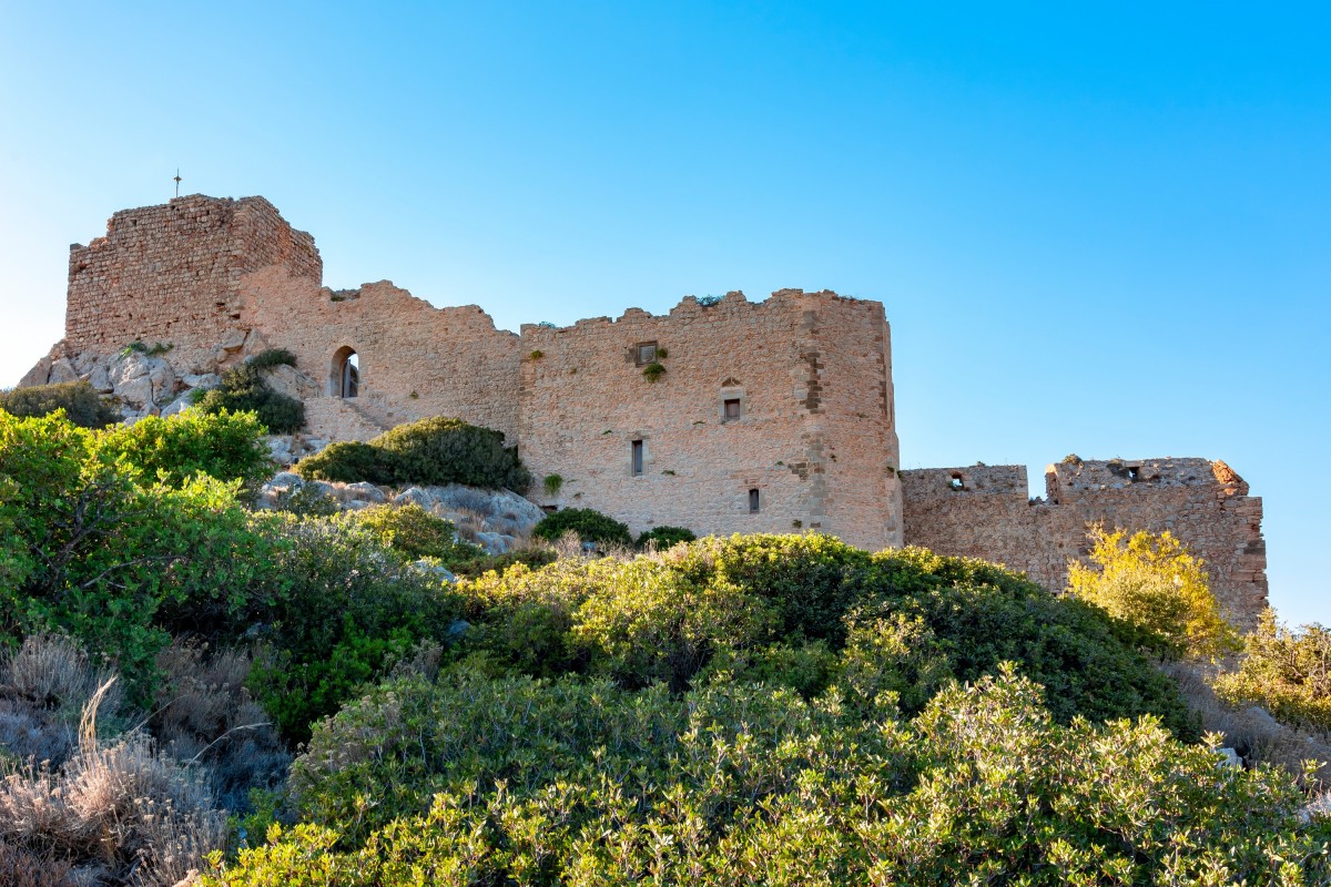 Private Embonas Wine Tasting & Kritinia Castle Tour