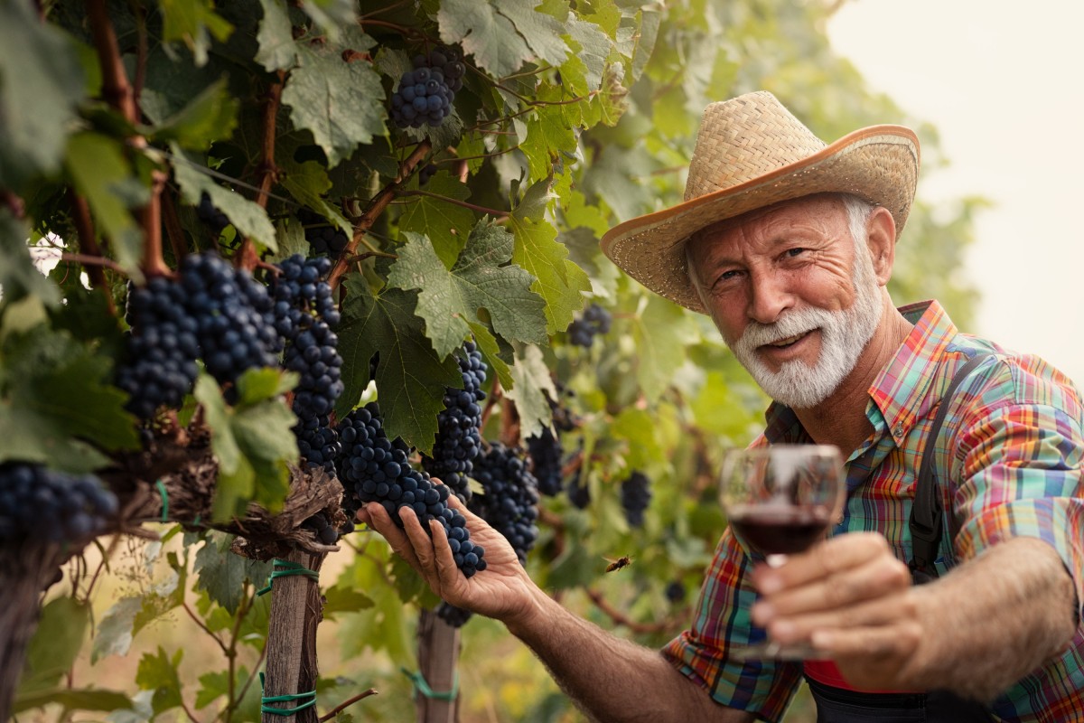 Greek Winery Food & Wine Tour: 10 Meal Course Lunch, Wine Tasting, Cooking Class
