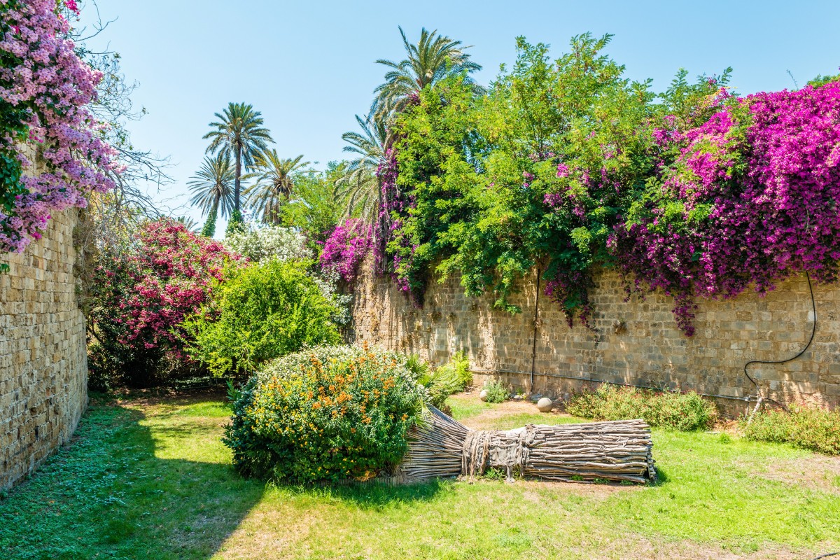 Best of Rhodes Tour including Lindos and Medieval City Guided Tour