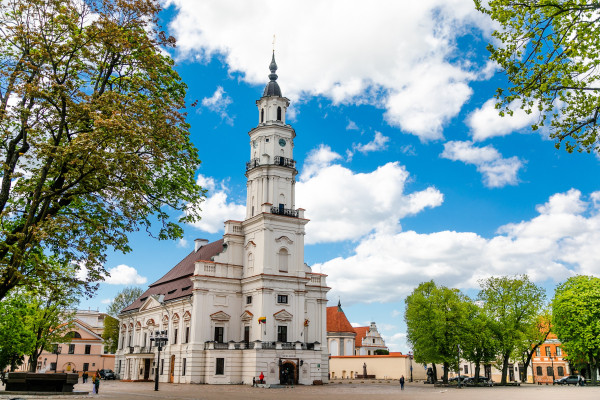 5 Hour Deluxe Shore Excursion in Tallinn from Cruise Port